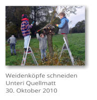 Weidenk�pfe schneiden Unteri Quellmatt 30. Oktober 2010