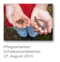 Pflegearbeiten Schiebestandweiher 27. August 2010
