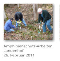 Amphibienschutz-Arbeiten Landenhof 26. Februar 2011