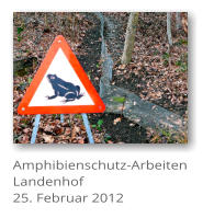 Amphibienschutz-Arbeiten Landenhof 25. Februar 2012
