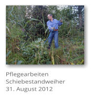 Pflegearbeiten Schiebestandweiher 31. August 2012