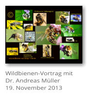 Wildbienen-Vortrag mit  Dr. Andreas M�ller 19. November 2013