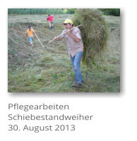 Pflegearbeiten Schiebestandweiher 30. August 2013