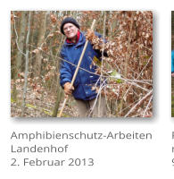 Amphibienschutz-Arbeiten  Landenhof 2. Februar 2013