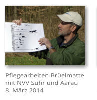 Pflegearbeiten Br�elmatte mit NVV Suhr und Aarau 8. M�rz 2014