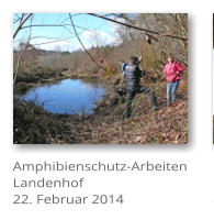 Amphibienschutz-Arbeiten Landenhof 22. Februar 2014