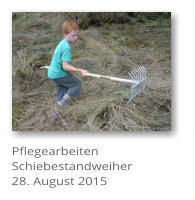 Pflegearbeiten Schiebestandweiher 28. August 2015