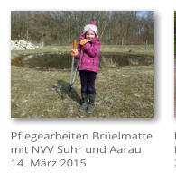 Pflegearbeiten Br�elmatte mit NVV Suhr und Aarau 14. M�rz 2015