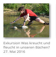 Exkursion Was kreucht und fleucht in unseren B�chen?27. Mai 2016