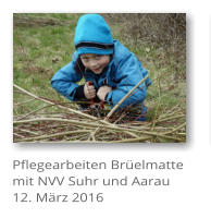 Pflegearbeiten Br�elmatte mit NVV Suhr und Aarau 12. M�rz 2016