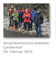 Amphibienschutz-Arbeiten Landenhof 20. Februar 2016