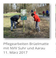 Pflegearbeiten Br�elmatte mit NVV Suhr und Aarau 11. M�rz 2017
