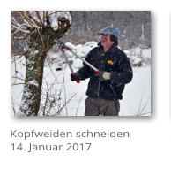 Kopfweiden schneiden 14. Januar 2017