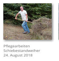 Pflegearbeiten Schiebestandweiher 24. August 2018