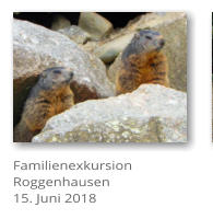 Familienexkursion  Roggenhausen 15. Juni 2018