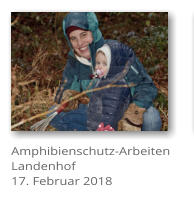 Amphibienschutz-Arbeiten Landenhof 17. Februar 2018
