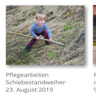 Pflegearbeiten Schiebestandweiher 23. August 2019