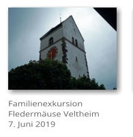 Familienexkursion Flederm�use Veltheim7. Juni 2019