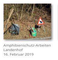 Amphibienschutz-Arbeiten Landenhof 16. Februar 2019