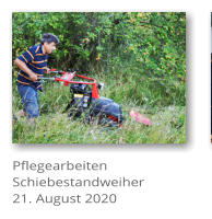 Pflegearbeiten Schiebestandweiher 21. August 2020