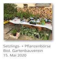 Setzlings- + Pflanzenb�rse Biol. Gartenbauverein 15. Mai 2020
