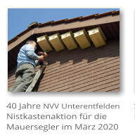 40 Jahre NVV Unterentfelden  Nistkastenaktion f�r die Mauersegler im M�rz 2020
