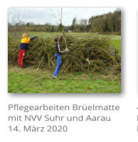Pflegearbeiten Br�elmatte mit NVV Suhr und Aarau 14. M�rz 2020