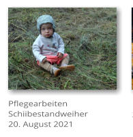 Pflegearbeiten Schiibestandweiher 20. August 2021