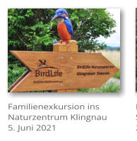 Familienexkursion ins Naturzentrum Klingnau 5. Juni 2021