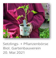 Setzlings- + Pflanzenb�rse Biol. Gartenbauverein 20. Mai 2021