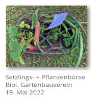 Setzlings- + Pflanzenb�rse Biol. Gartenbauverein 19. Mai 2022