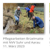 Pflegearbeiten Br�elmatte mit NVV Suhr und Aarau 11. M�rz 2023