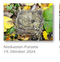 Nistkasten-Putzete 19. Oktober 2024