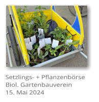 Setzlings- + Pflanzenb�rse Biol. Gartenbauverein 15. Mai 2024