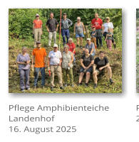 Pflege Amphibienteiche Landenhof 16. August 2025