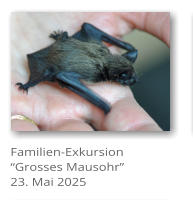Familien-Exkursion �Grosses Mausohr� 23. Mai 2025