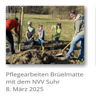 Pflegearbeiten Br�elmatte mit dem NVV Suhr 8. M�rz 2025