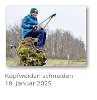 Kopfweiden schneiden 18. Januar 2025
