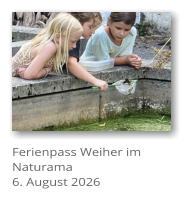 Ferienpass Weiher im Naturama 6. August 2026