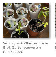 Setzlings- + Pflanzenb�rse Biol. Gartenbauverein 8. Mai 2026