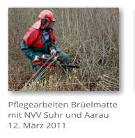 Pflegearbeiten Brelmatte mit NVV Suhr und Aarau 12. Mrz 2011