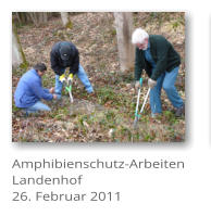 Amphibienschutz-Arbeiten Landenhof 26. Februar 2011