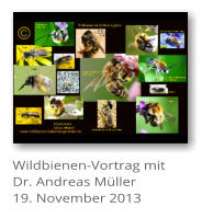 Wildbienen-Vortrag mit  Dr. Andreas Mller 19. November 2013