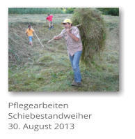 Pflegearbeiten Schiebestandweiher 30. August 2013