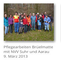 Pflegearbeiten Brelmatte mit NVV Suhr und Aarau 9. Mrz 2013
