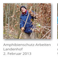 Amphibienschutz-Arbeiten  Landenhof 2. Februar 2013