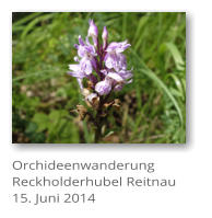 Orchideenwanderung Reckholderhubel Reitnau 15. Juni 2014