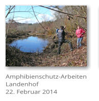Amphibienschutz-Arbeiten Landenhof 22. Februar 2014