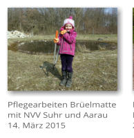 Pflegearbeiten Brelmatte mit NVV Suhr und Aarau 14. Mrz 2015