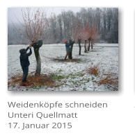 Weidenkpfe schneiden Unteri Quellmatt 17. Januar 2015
